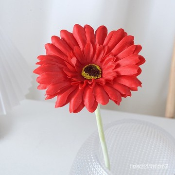 【🔥9.6萬人收藏】仿真非洲菊弗朗菊波斯菊太陽花家居餐桌擺設小雛菊田園風人造絹花 Z4DO