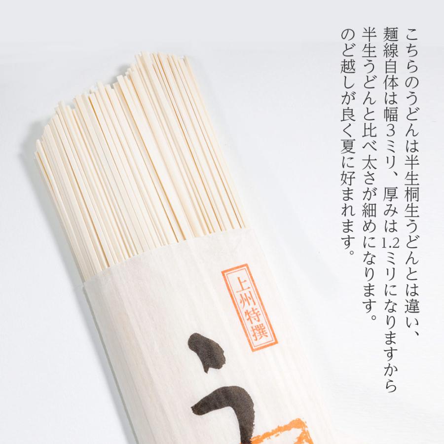 製麺工場直送 上州特撰うどん 200g×3袋 濃縮つゆ6人前 送料無料 1000円ポッキリ 