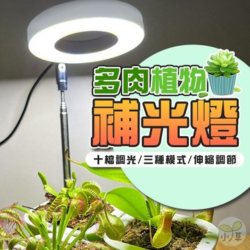 🔥隔日到貨🔥多肉植物補光燈 定時植物燈 盆栽燈 LED植物生長燈 植物燈 多肉燈 天使環植物生長燈 伸縮補光燈 天使光環