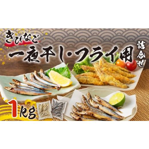 ふるさと納税 鹿児島県 鹿児島市 きびなご一夜干し、フライ用詰合せ 1kg　K100-001