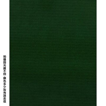 【文具通】四開粉彩紙17 P1330089