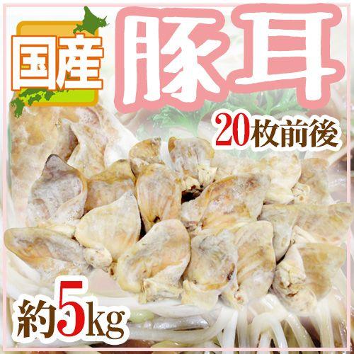 国産 ”豚耳” 20枚前後 約5kg ミミガー