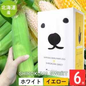 2024年 予約受付中 8月頃出荷開始 とうもろこし 北海道 送料無料 SHIROKUMA SWEET 北海道産 イエローコーン＆ホワイトコーン 6本（各3本