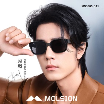 MOLSION 窄方框偏光太陽眼鏡 肖戰配戴款/深灰 深灰偏光鏡片#MS3085 C11
