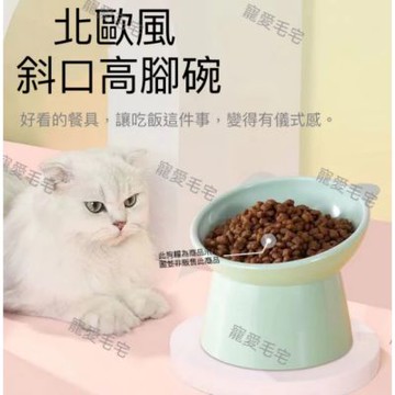 【寵愛毛宅】寵物北歐風護頸碗 傾斜寵物碗 寵物斜口碗 護頸碗 造型寵物碗 狗碗 貓碗