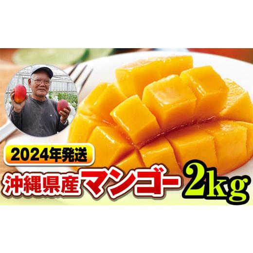 ふるさと納税 沖縄県 南風原町 濃厚な甘さ！とろける食感！沖縄県産マンゴー2kg