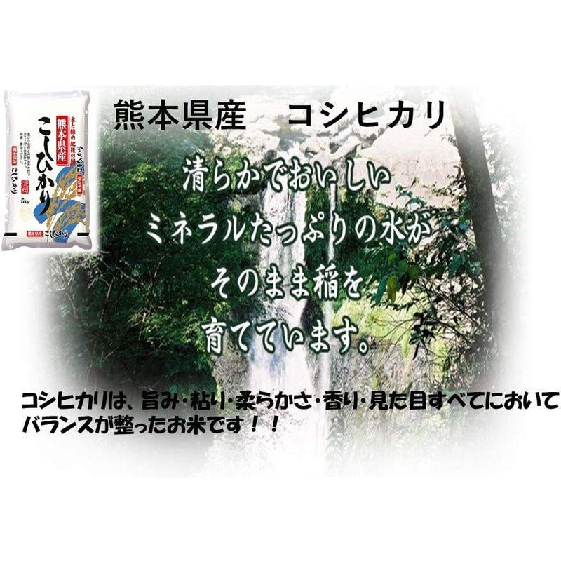 米 お米 １０ｋｇ （５ｋｇ×２） 熊本県産 くまモン こしひかり 白米 令和４年産