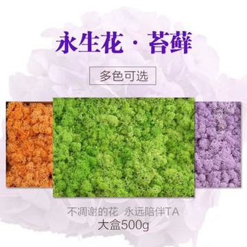 干花永生花材玫瑰材料包廠家直營批發500g大盒永生苔蘚圣誕植物墻