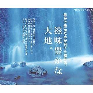 新米 令和5年産 福井産コシヒカリ 5kg 福井県 こしひかり (玄米のまま（5kg）)