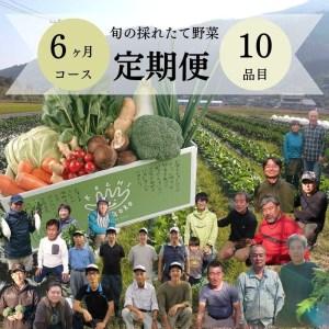 ふるさと納税 「定期便」野菜詰め合わせセット6ヵ月 高知県香美市