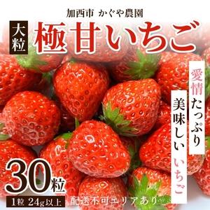 ふるさと納税 かぐや農園の極甘 いちご 大粒 30粒 兵庫県加西市