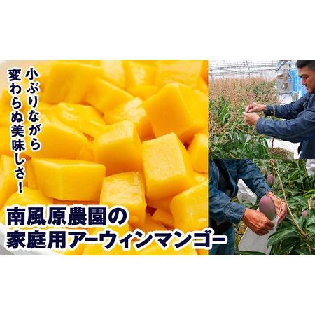 ふるさと納税 南風原農園　家庭用アーウィンマンゴー2kg 沖縄県南風原町