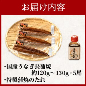 国産 うなぎ 蒲焼 5尾 漁協オリジナル 深蒸し 蒲焼き たれ付き 1尾 約120g～130g （ うなぎ 鰻 うなぎ蒲焼 鰻国産 うなぎ5尾 鰻セット うなぎタレ付き 鰻深蒸し うなぎ FN-SupportProject うなぎ FN-SupportProject うなぎセット FN-SupportProject 年末企画 鰻 年末企画 静岡 年末企画 沼津 ）