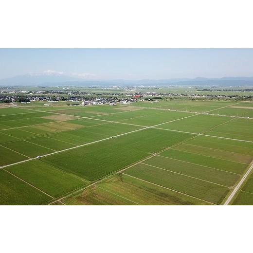 ふるさと納税 山形県 三川町 つや姫パックライス24P×2箱