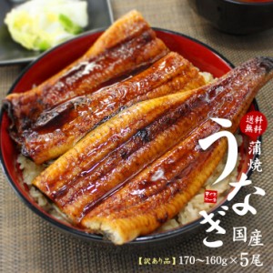 国産うなぎ長蒲焼き(160g～170g)×5尾セット 訳あり品 タレ・山椒つき 送料無料〈ue1〉yd9[[ウナギ長蒲焼き-5p]