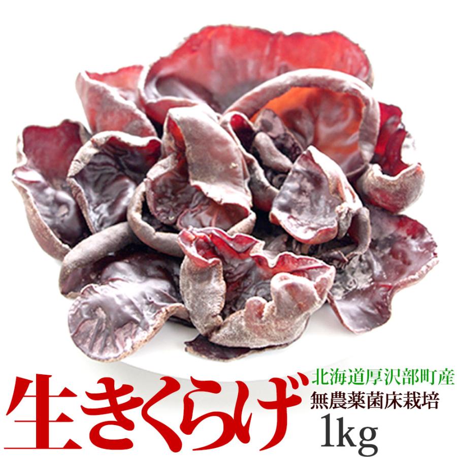 きくらげ 生 国産 1kg 北海道産 生きくらげ 送料無料 無農薬 ビタミンD 菌床 栽培 キクラゲ 冷蔵 お取り寄せ 食物繊維 しゃぶしゃぶ 天ぷら わさび醤油