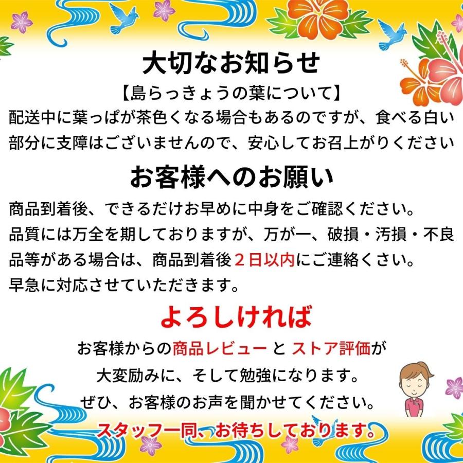 島らっきょう １ｋｇ沖縄産 おいしい しまらっきょう 土付き 島野菜 らっきょう エシャロット 玉ねぎ しゃきしゃき ビール 酒 肴 アテ おつまみ 天ぷら うまい