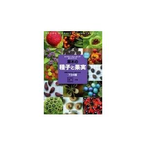 増補改訂 草木の種子と果実 形態や大きさが一目でわかる