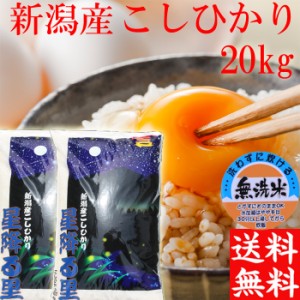 新米 令和5年 新潟産 コシヒカリ 無洗米 20kg 送料無料 米 お米 新潟県産 コシヒカリ２０キロ 送料無料 《お米 無洗米 お米 20kg コシヒ