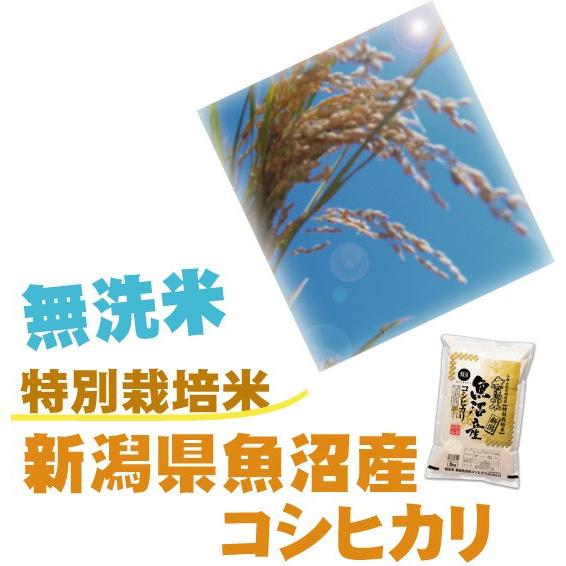 新米 無洗米  5kg 新潟県 魚沼産 コシヒカリ 令和5年産 送料無料 特別栽培米 特A