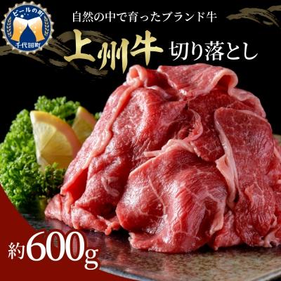 ふるさと納税 千代田町 牛肉 切り落とし  600g 群馬県 産  千代田町 ch003-010a003r