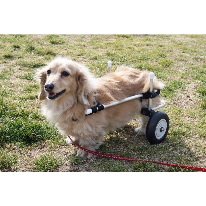 詳細は画像に記載犬用 車いす 車椅子 小型 中型 ペット用 2輪歩行器