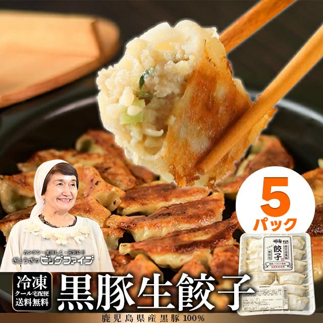 餃子 ぎょうざ 冷凍 鹿児島 ビッグファイブ 黒豚 豚肉 送料無料 生餃子 無添加 