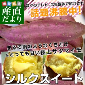 千葉県産 JAかとり シルクスイート Lサイズ2.5キロ 7本前後 送料無料 さつまいも サツマイモ 薩摩芋 新芋 市場発送