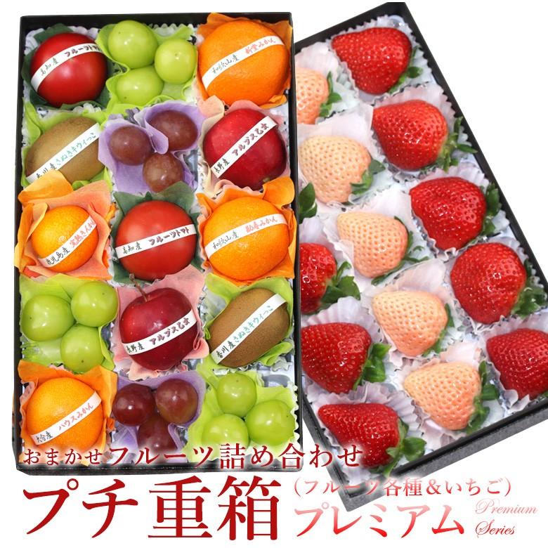  FPJ-5(プチフルーツ15個・いちご2〜3種・15個)イチゴ 苺 フルーツ くだもの 果物