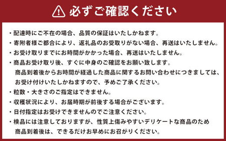 熊本県産 肥後グリーンメロン 2玉入り 果物 メロン