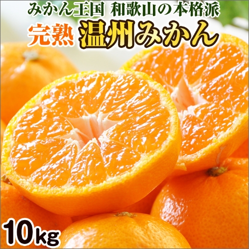 完熟温州みかん 10kg 和歌山のみかん職人が作るこだわりミカン