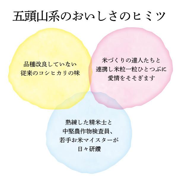 新米 令和5年産 お米 食べ比べ 各5Kg×1 10Kg 送料無料 新潟米 コシヒカリ こしいぶき 米 あすつく 美味しいお米 産直 白米