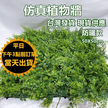嘉義現貨 防曬防水款 抗UV仿真植物牆 植栽牆 什錦富貴葉 (蕨類+水草) 假植物 SFH86