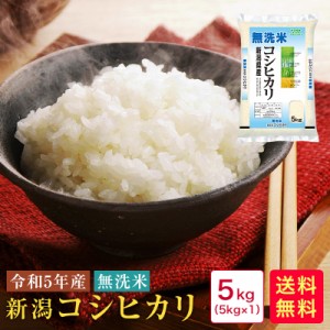 米 5kg 送料無料 無洗米 令和5年産 新潟コシヒカリ5kg