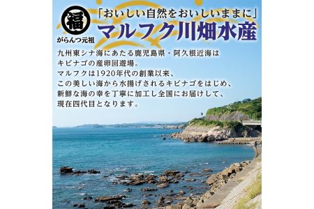 akune-2-59 鹿児島県阿久根市産干物セット(6種) 国産 九州産 鹿児島県産 新鮮 鮮度 魚 魚介類 乾物 ひもの おつまみ おかず お弁当 珍味 一夜干し きびなご あじ いか あおさ 2-59