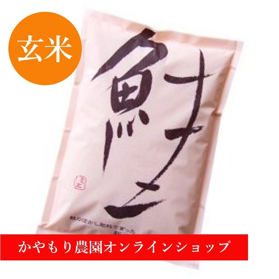 かやもり農園コシヒカリ「鮭」2kg