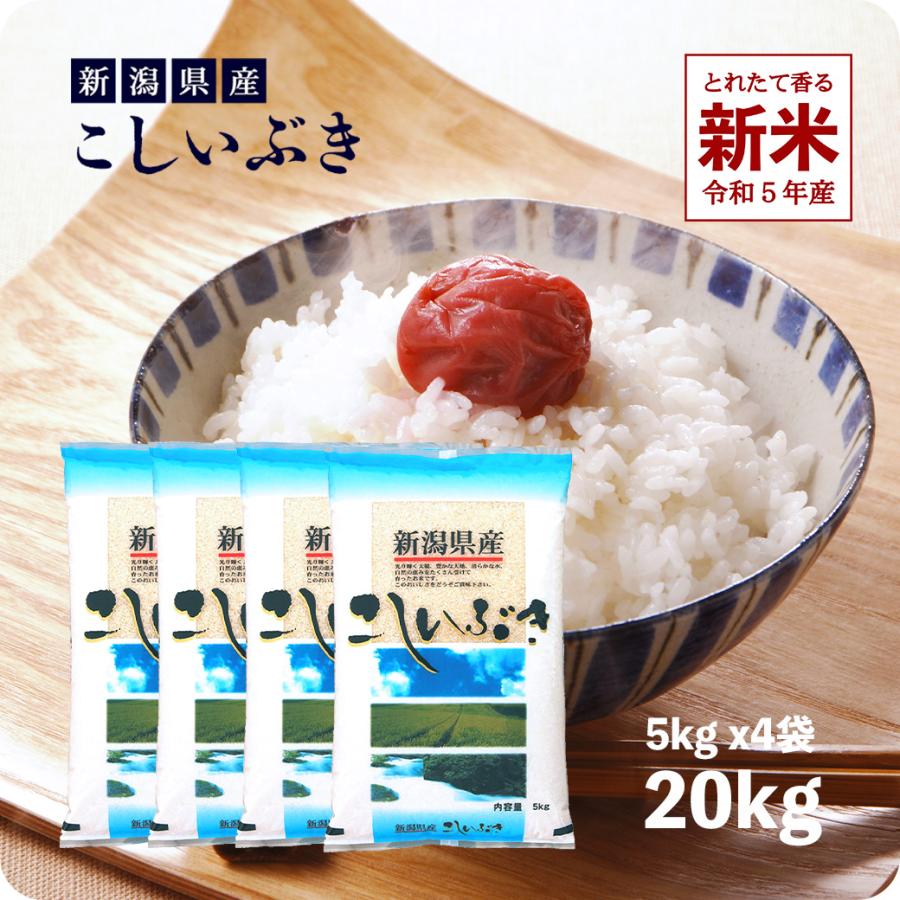 新米 20kg 新潟産こしいぶき お米 20キロ 送料無料 令和5年産 白米 精米 5kg x4袋