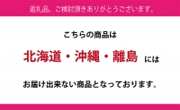 ぶどう 2024年 先行予約 9月・10月発送 シャイン マスカット 晴王 2房（合計約1.1kg） ブドウ 葡萄  岡山県産 国産 フルーツ 果物 ギフト