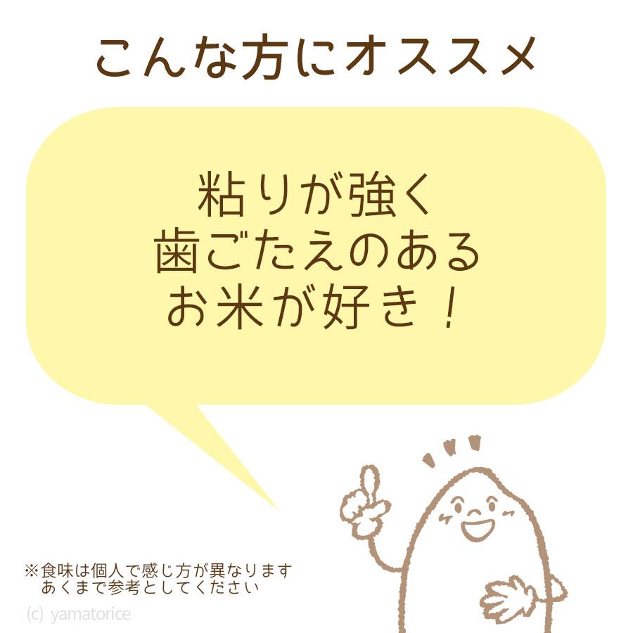 米 お米 コシヒカリ 20kg 富山県産 5kg×4 令和5年産 白米