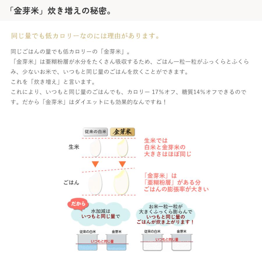 金芽米 ひとめぼれ 20kg(5kg×4袋) 宮城県加美産 特別栽培米 令和5年産