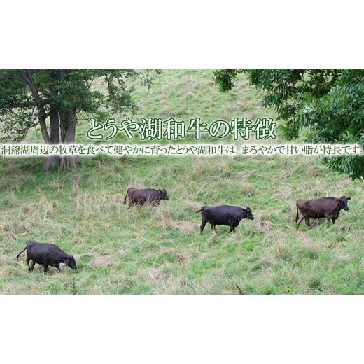 ふるさと納税 北海道 洞爺湖町 とうや湖和牛三角バラ 焼肉用