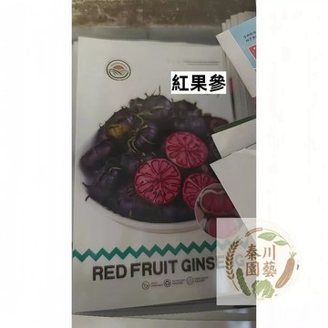 🌱【原裝水果種子】🌰紅果參 親測出芽率超85% 泰國人參 叢林莓 果實香甜 風味獨特 陽台盆栽庭院果樹