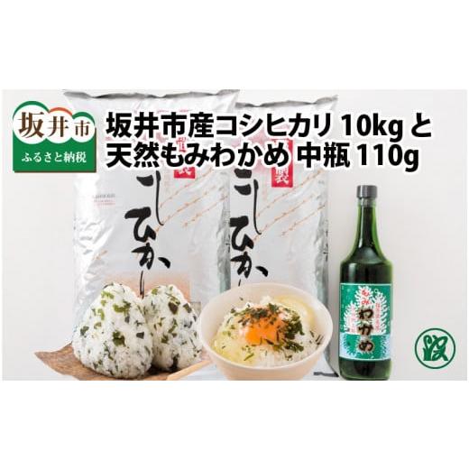 ふるさと納税 福井県 坂井市 福井県 坂井市産 コシヒカリ 米 10kg と もみわかめ中瓶セット [C-1710]