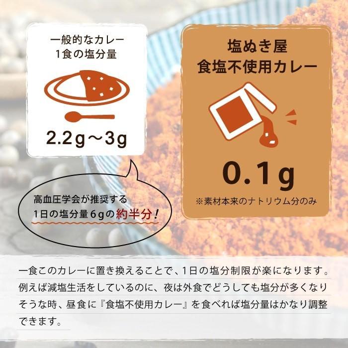 送料無料 塩ぬき屋 食塩不使用 カレー 172g×２袋入（6セット）ト レトルト食品 レトルトカレー プレゼント