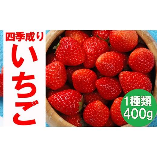 ふるさと納税 岩手県 陸前高田市 （先行予約）四季成りいちご400g岩手 陸前高田