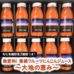 寒締フルーツにんじんジュース～大地の恵み～旬な有機野菜２種類つき！[AL002ci]