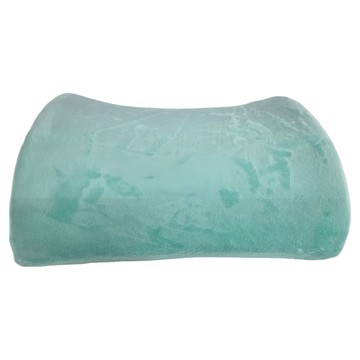 HONG JIN 宏晉 護腰靠枕墊 一般款  藍綠色