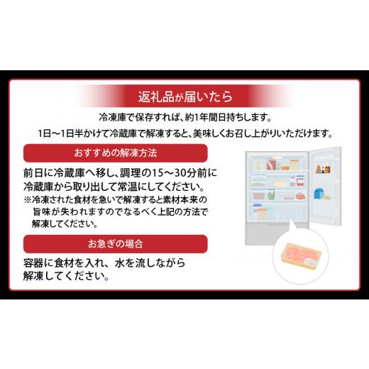 ふるさと納税 宮崎県 宮崎市 宮崎県産若鶏 もも肉 2.5kg（250g×10パック）※小分け・カット済・真空冷凍_M146-008_01