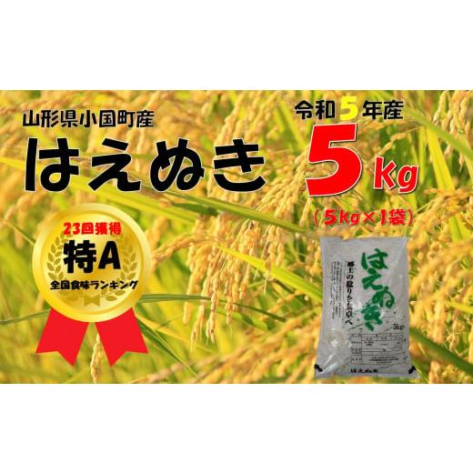 ふるさと納税 山形県 小国町 （令和５年産）山形県小国町産 はえぬき5kg