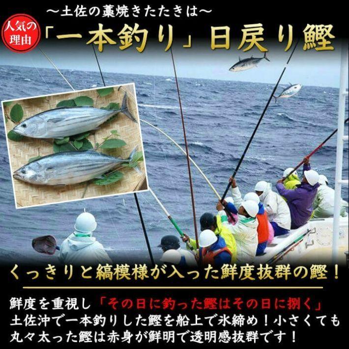 仁淀川 うなぎ 蒲焼き 土佐沖 カツオのたたき セット 高知県産 ギフト 贈答